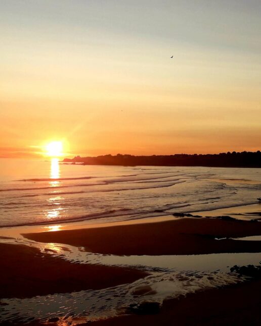 coucher de soleil cécile jourdain somatothérapie soins énergétiques magnétisme énergéticienne radiesthésiste somatothérapie thérapie psychocorporelle magnétisme soins énergétiques énergéticienne accompagnement mieux-etre sérénité maux émotionnel maux physiques Thérapeute psycho corporelle énergéticienne radiesthésiste somatothérapeute accompagnement énergétique magnétisme maux physiques mauxémotionnels aider soi à distance somatothérapie accompagnement psychocorporel émotions blocages EFT blessures psychologiques souffrances mal être sérénité énergétique magnétisme soins à distance bien être massage angoisse stress confiance en soi estime de soi depression deuil separation traumatismes dependances addictions accident abus fatigue rhume eczema psoriasis verrues aménorrhée chocs emotionnels douleurs naissance libérer problèmes besoins soulager système immunitaire chakras soin énergétique radiesthésie